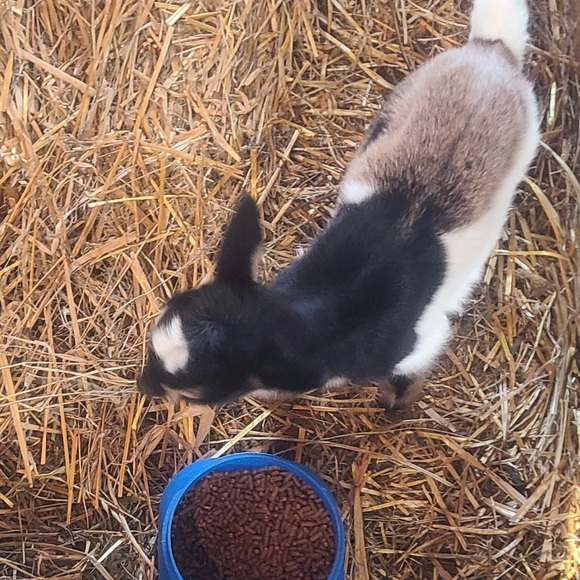 Haaayyyyyy It's meeee.... Jenna - Picture 12 of 12